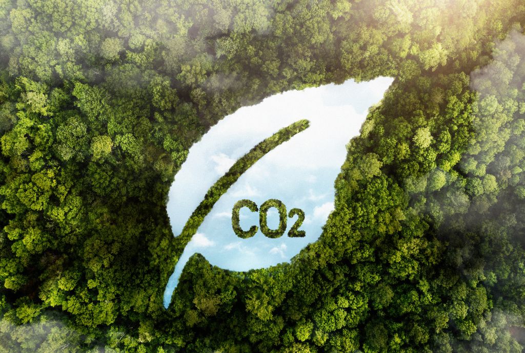 Decarbonizzazione-CoReVe